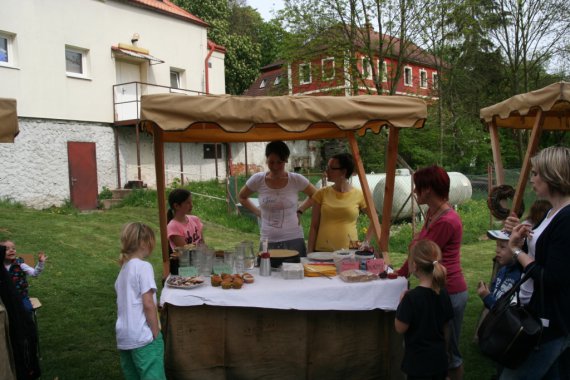 IMG 8516.JPG